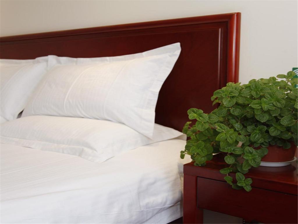 Greentree Inn Shanghai Dongming Road Subway Station Express Hotel מראה חיצוני תמונה